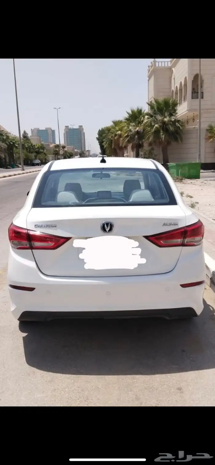 شانجان للبيع لوحة صفراء 6