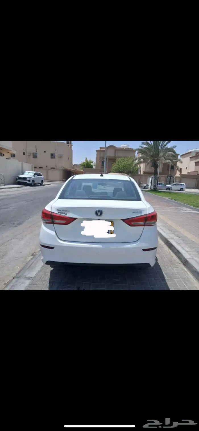 شانجان للبيع لوحة صفراء 3