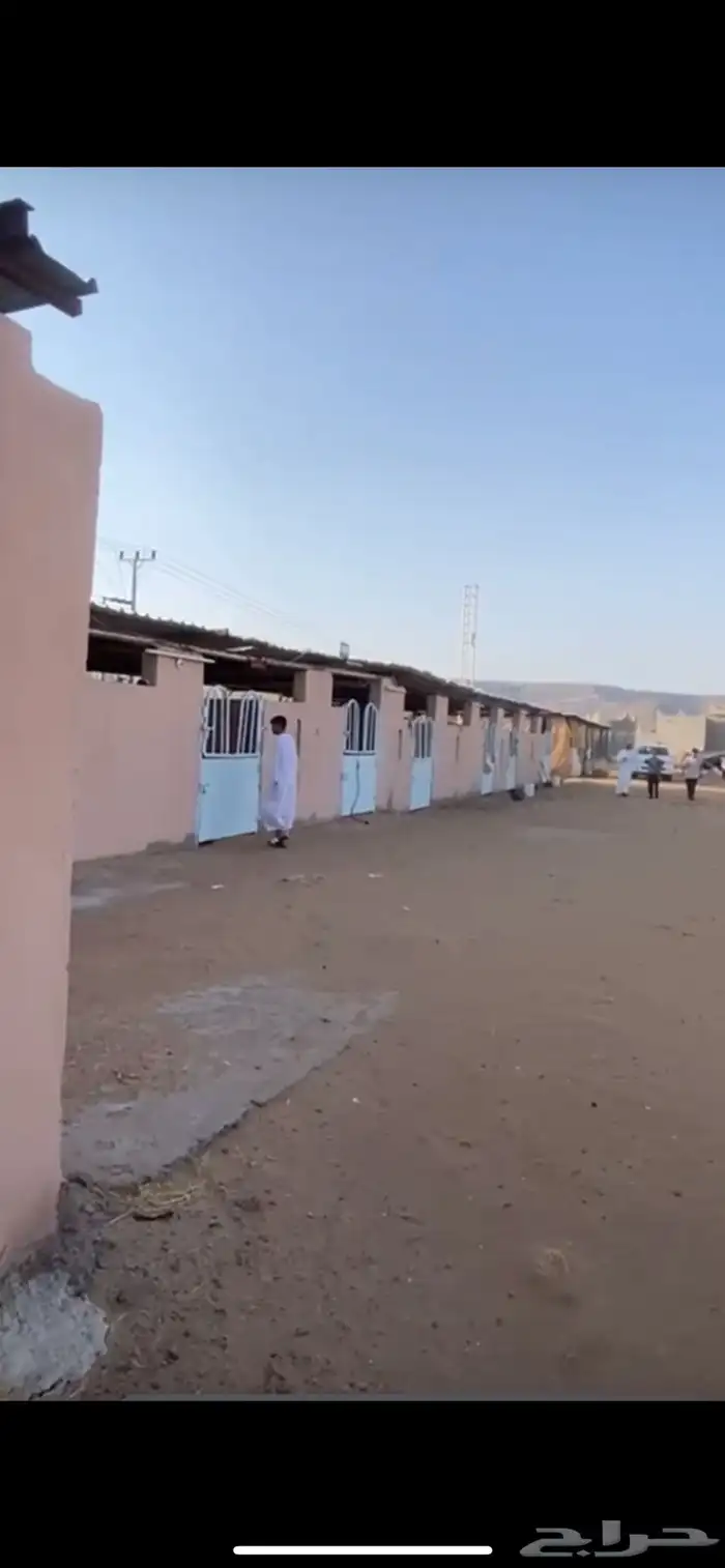 المدينه المندسه ( الجوه) 9