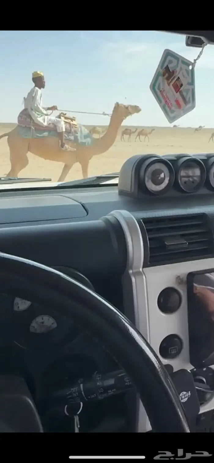 رحول الابل طوع 1