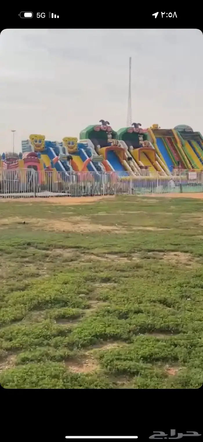 شرورة حديقة الملك عبدالعزيز 1