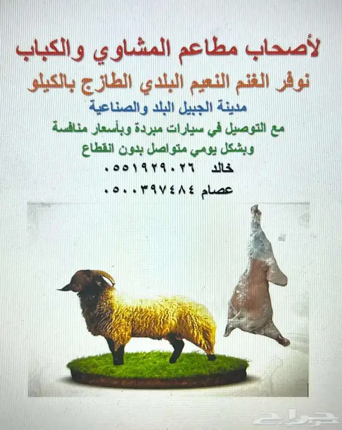 تزويد مطاعم المشوي باللحوم البلدي النعيمي 0