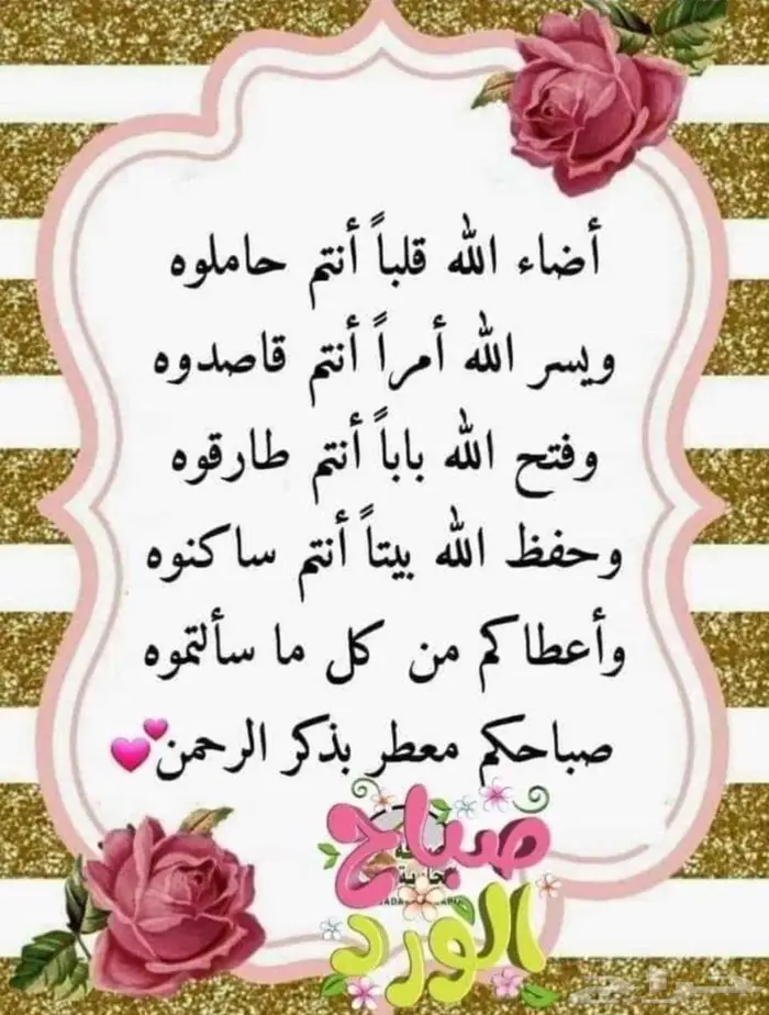 معلم خبيرة كبيرة بالتأسيس و صعوبات التعلم 2