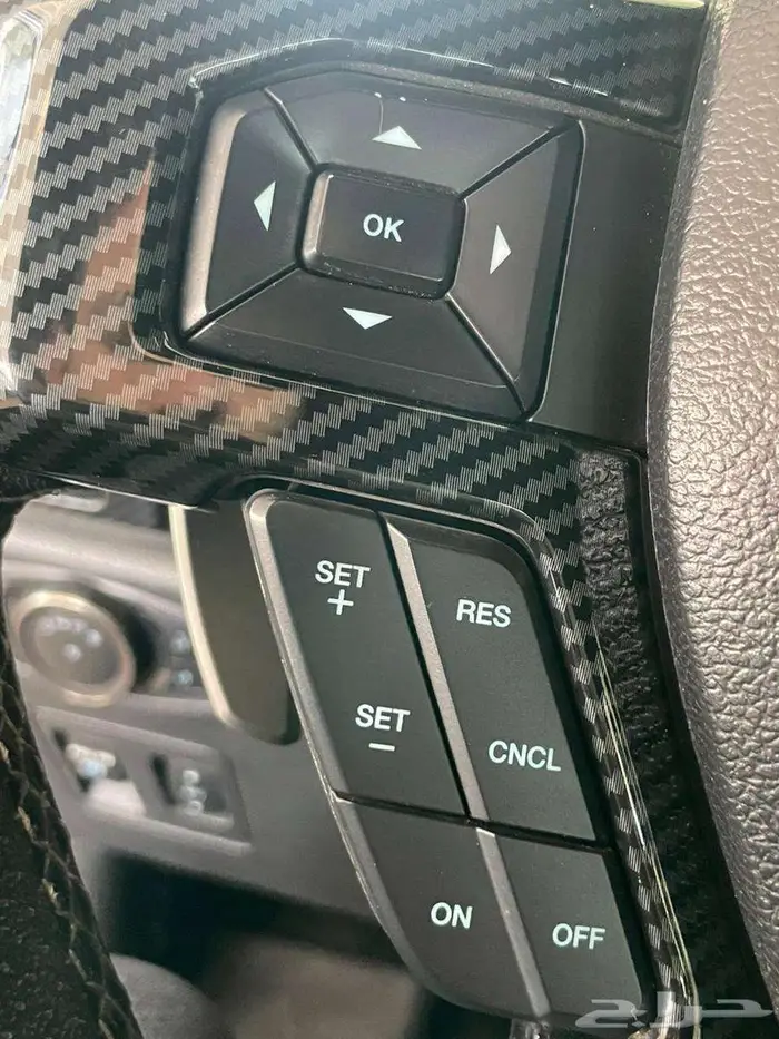 فورد F150 راتبر 2019 23