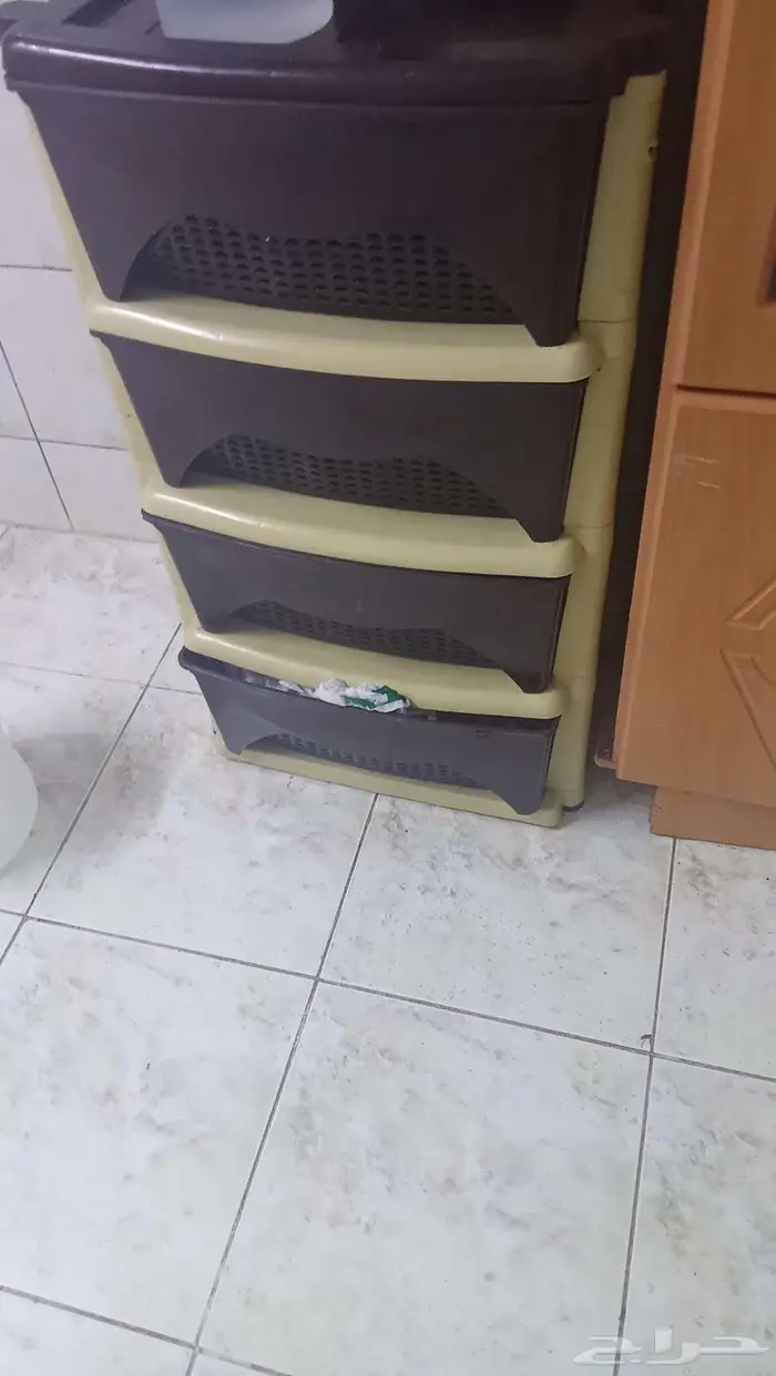 تيماء 7