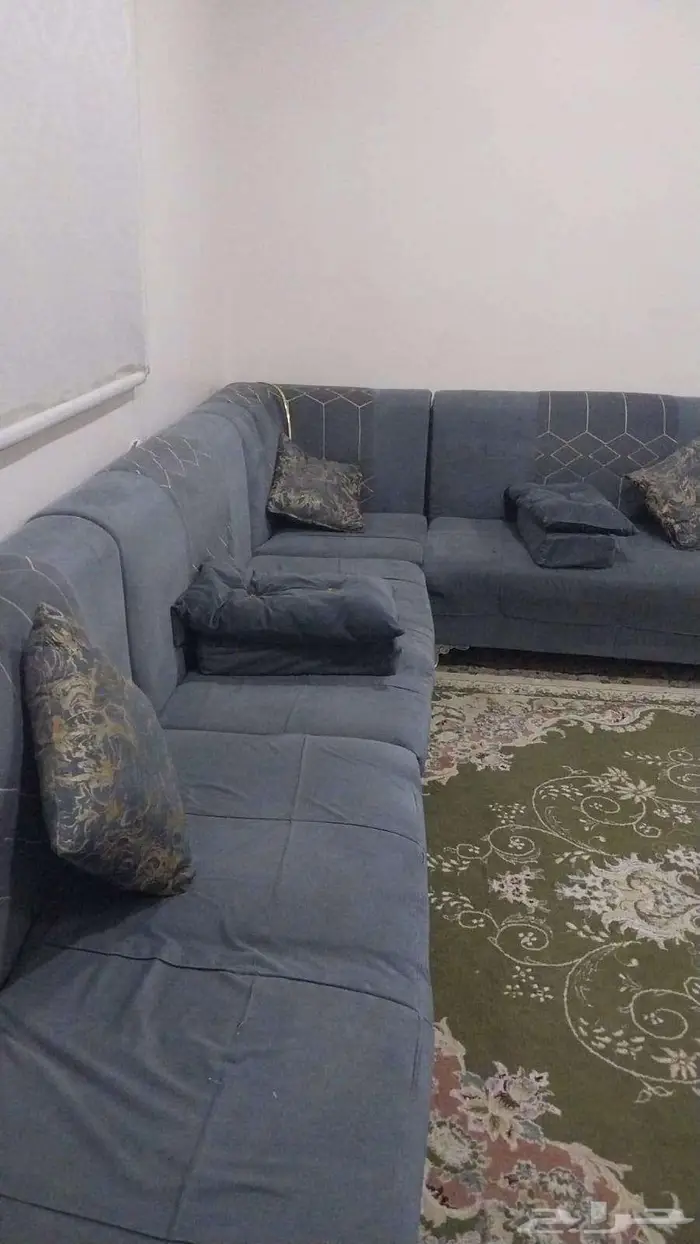 كنب   سجاد 3