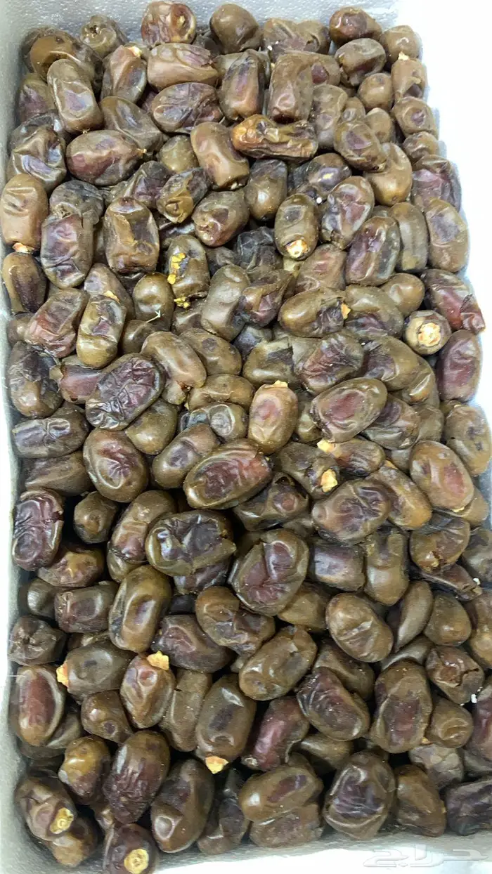 تمر حلال للبيع العدد 400 تقريبا أو 500 حق السنة هذي 2