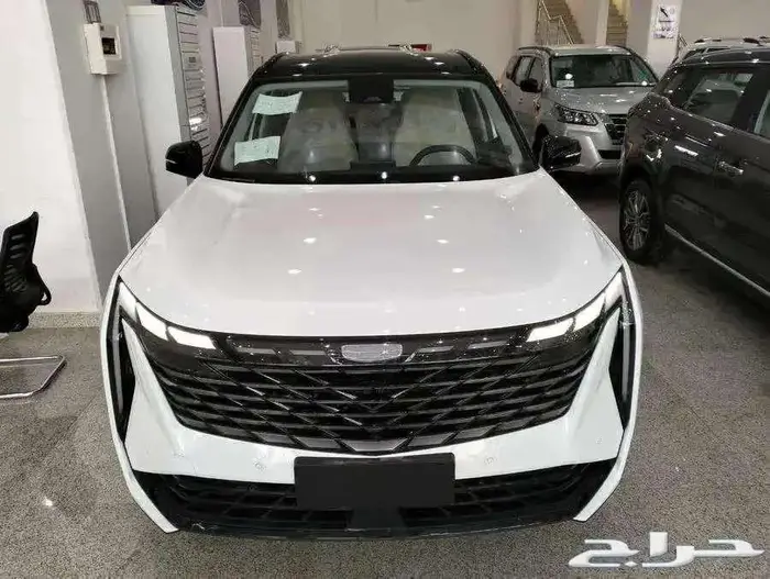 جيلي ستار راي 2024 جميع الفئات بأقل سعر كاش واقساط 0