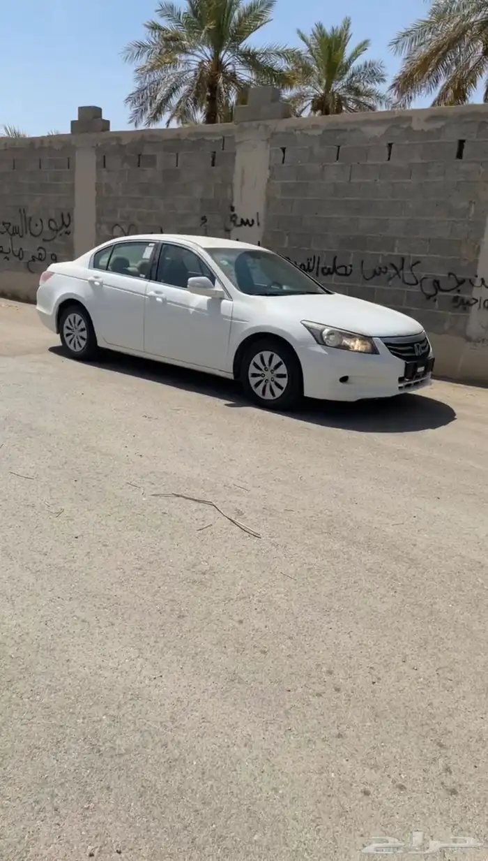 جنوط سوح اكورد 0