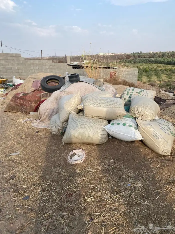 يتوفر سماد غنم نضيف جدا  توصيل لجميع مناطق المدينه 2