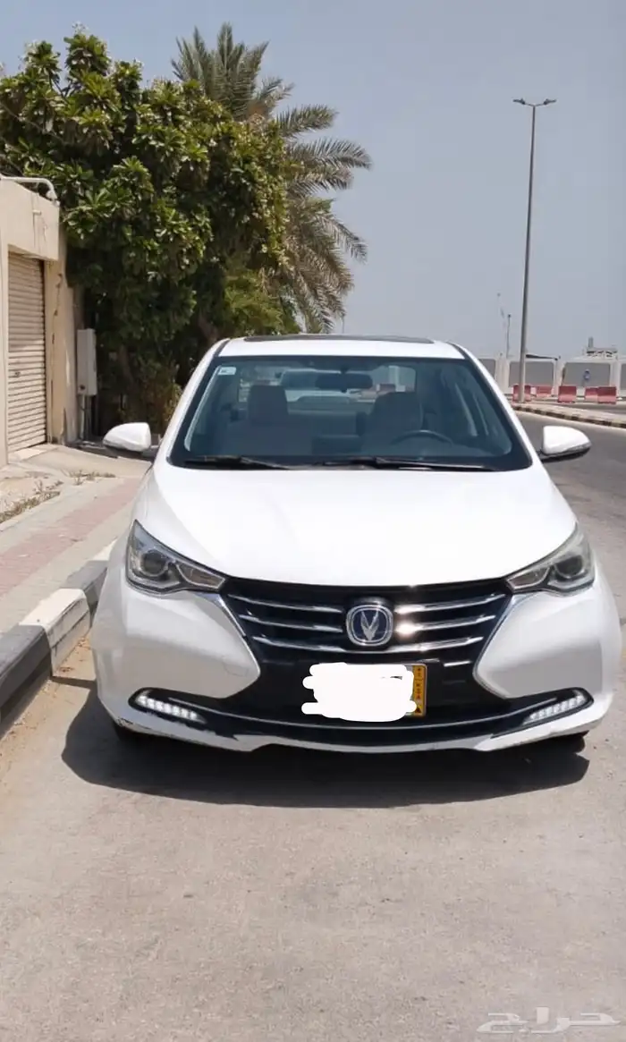 شانجان للبيع لوحة صفراء 5