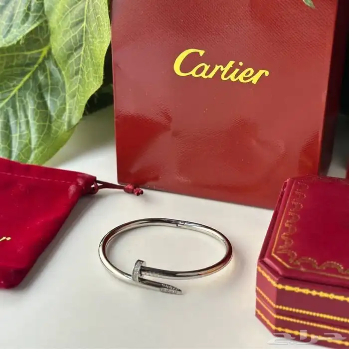 هدايا هدية كارتير اساور مسمار 120   مع ملحقات الماركة 12