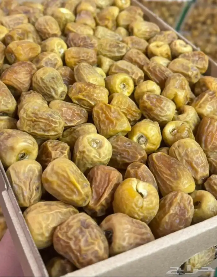 تمر فاخر من الآخر نوع التمر الإخلاص 0