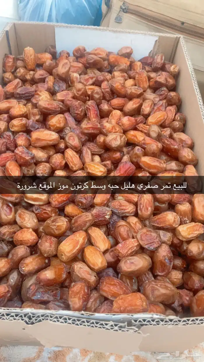 شرورة 0