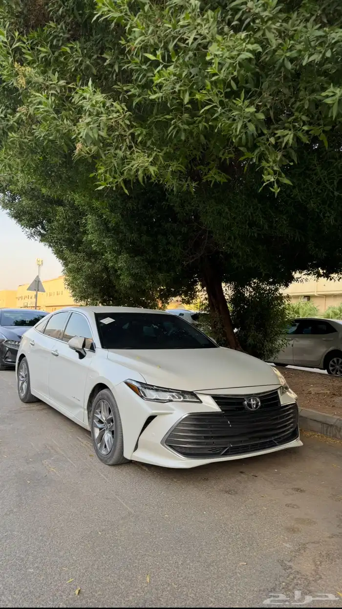 افالون 2022 7