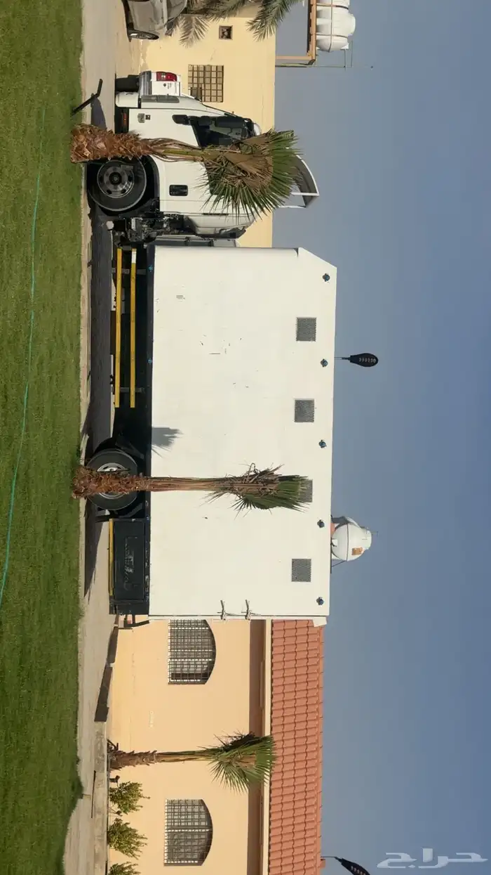 نقل خيل وادي دواسر 0