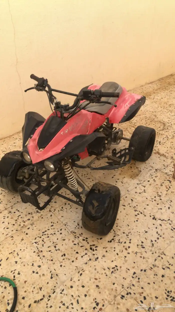 دباب نوع  فراشة 0