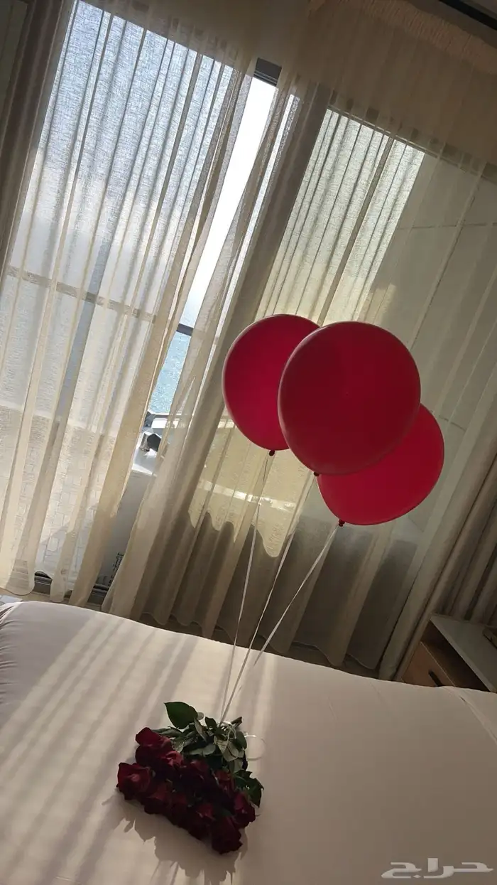 تنسيق جميع الحفلات 13