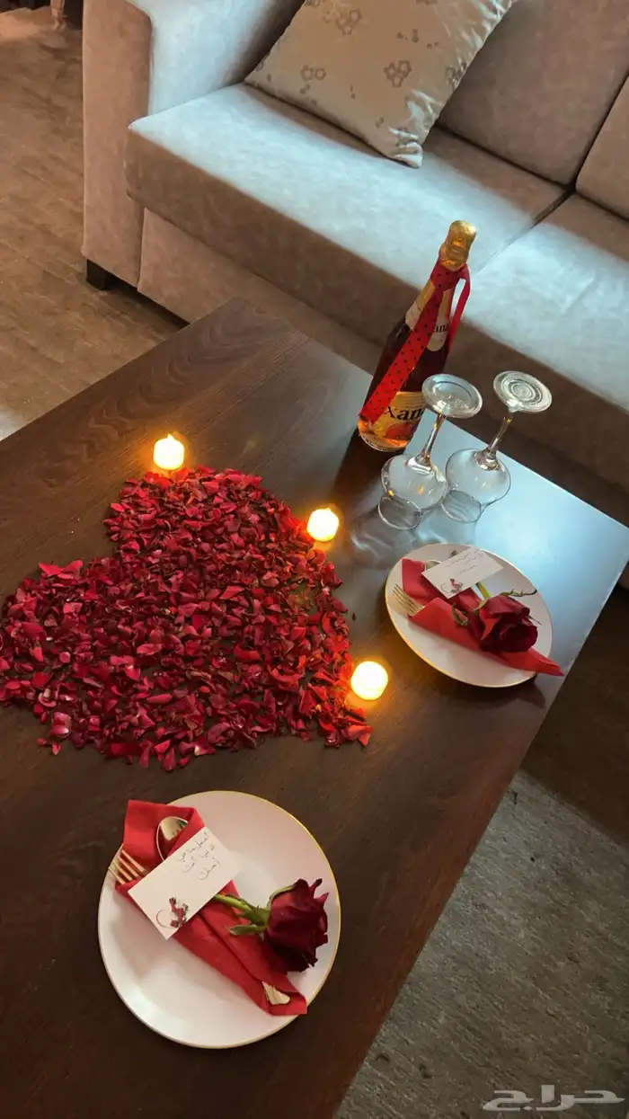 تنسيق جميع الحفلات 61