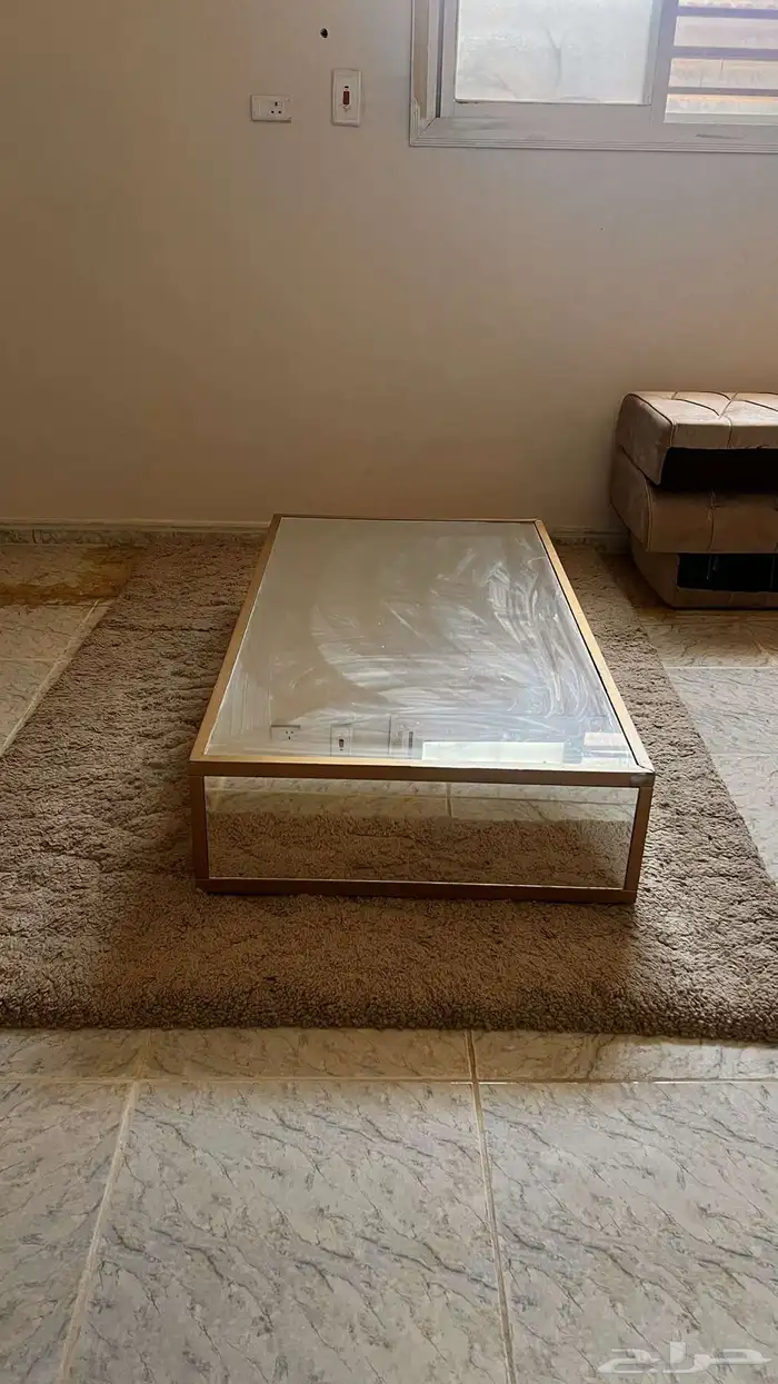 فراشة 100وطاله 100 0