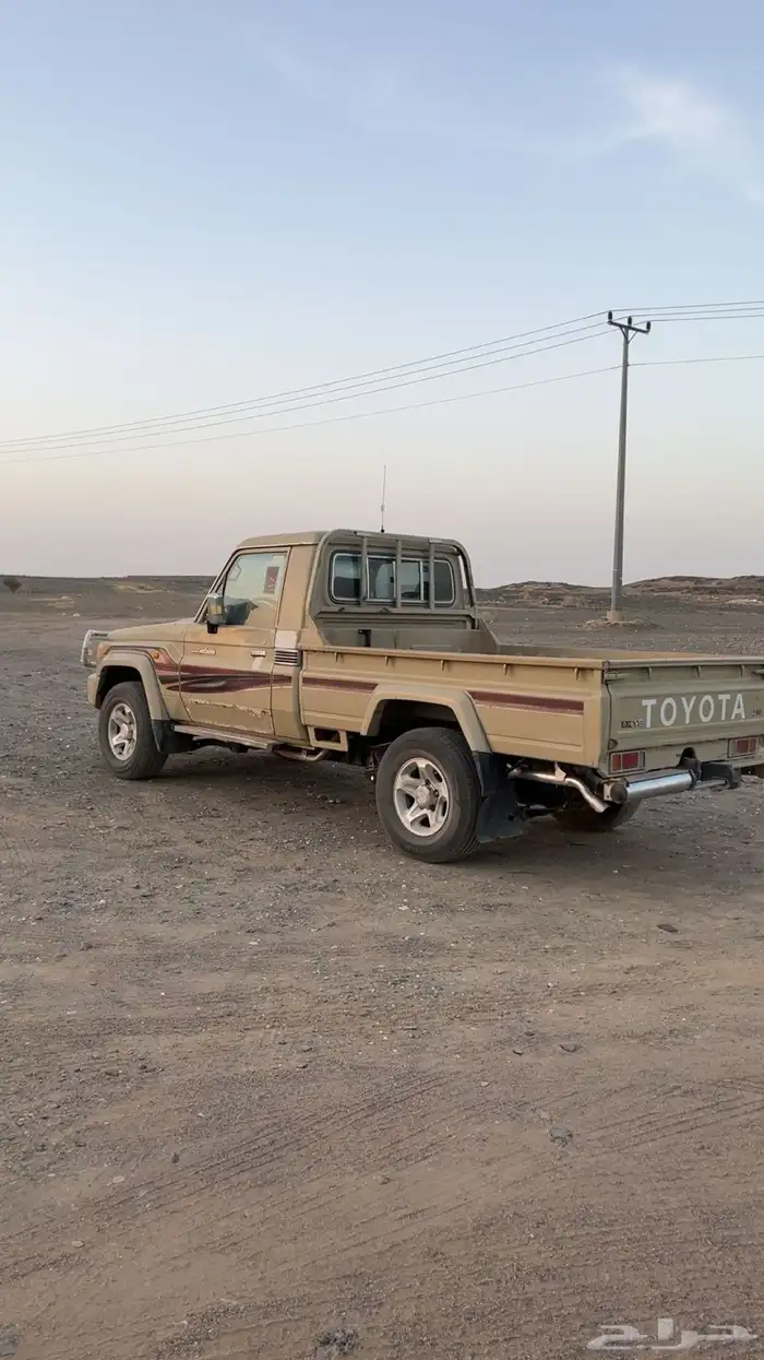 شاص 11