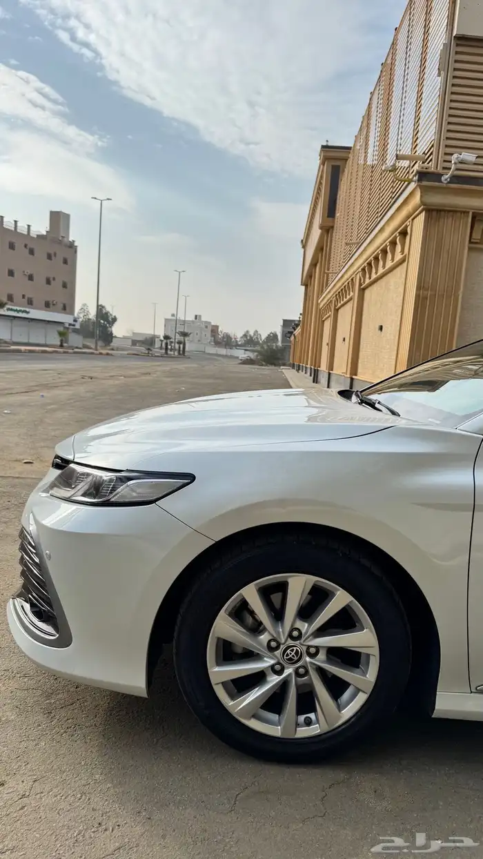 تم البيع 11