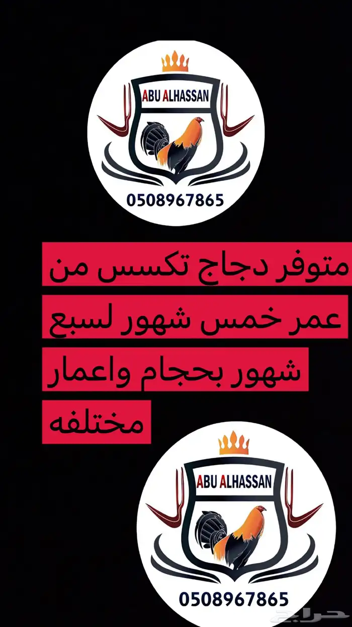 تكسسس 0