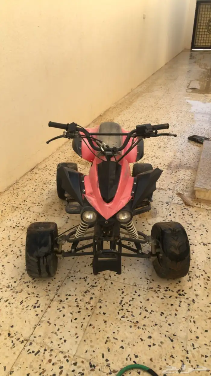 دباب نوع  فراشة 2