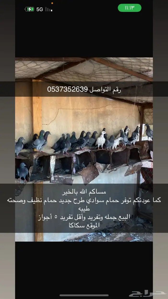 حمام سوادي طرح جديد يأهل القنص والطيور 0