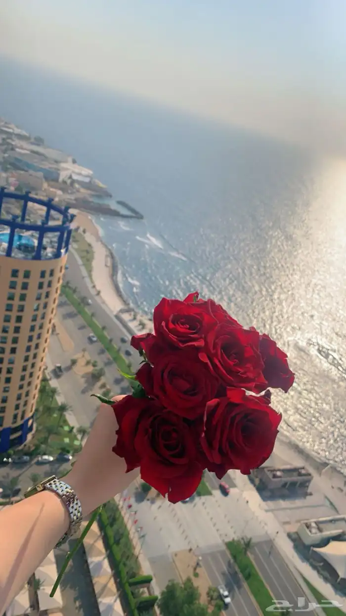 تنسيق جميع الحفلات 14