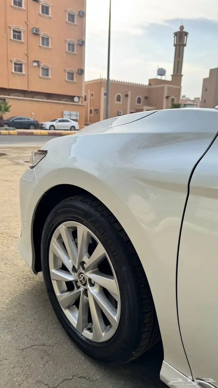 تم البيع 19