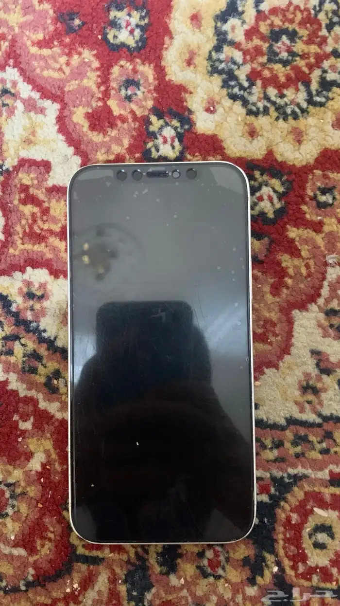 ايفون 12 العادي 1