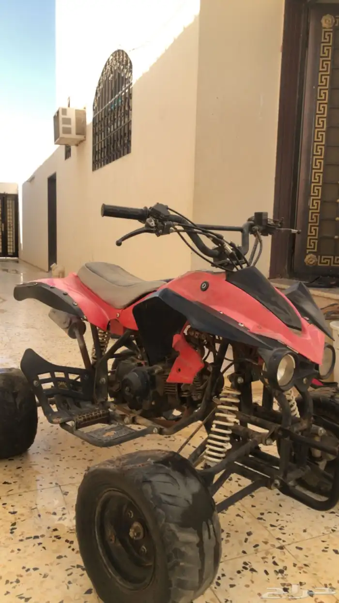 دباب نوع  فراشة 1
