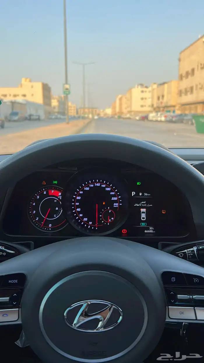 النترا2023 5
