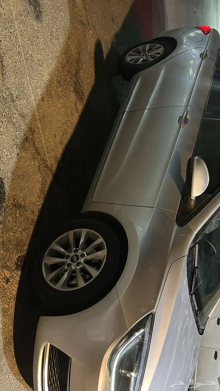 شيري اريزو 5 2023 3