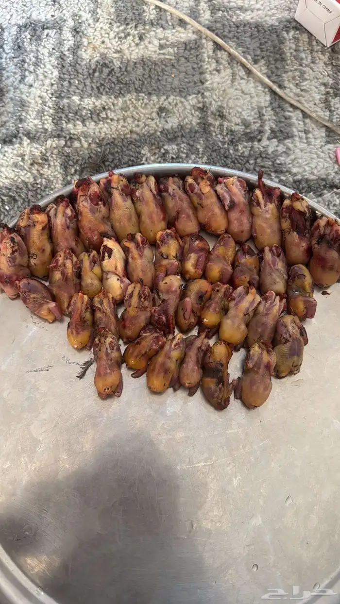 براغي للبيع 0