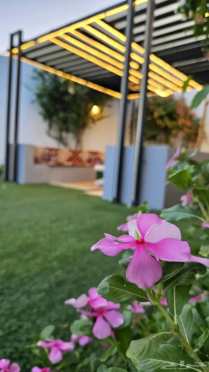 شاليه للايجار اليومي 49