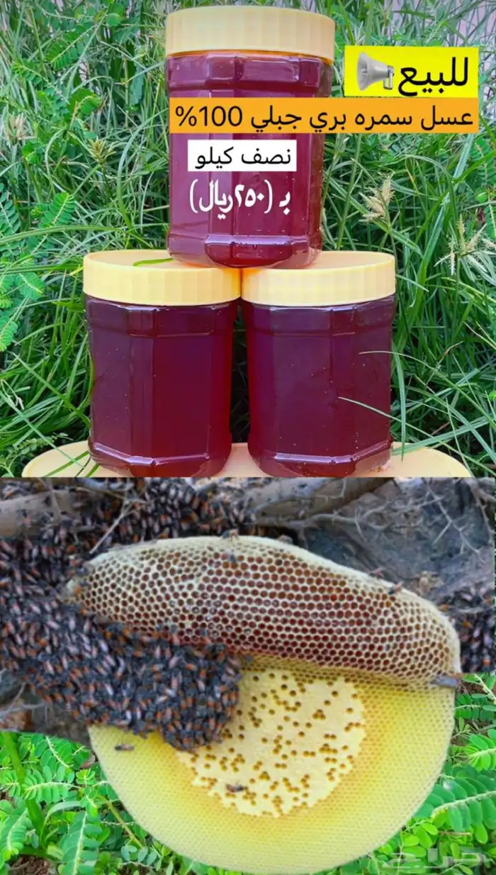 عسل النحل الجبلي الحر 0