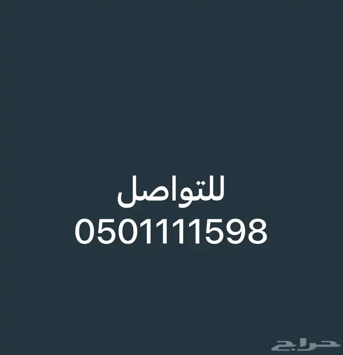 نقل معلمات من الرس الى قطاع نفي 1