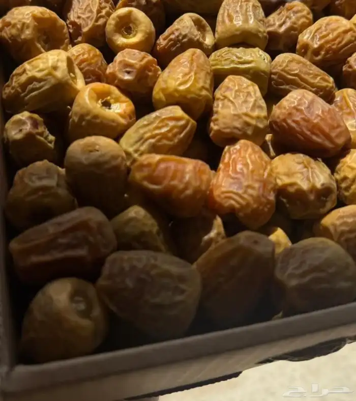 تمر فاخر من الآخر نوع التمر الإخلاص 1