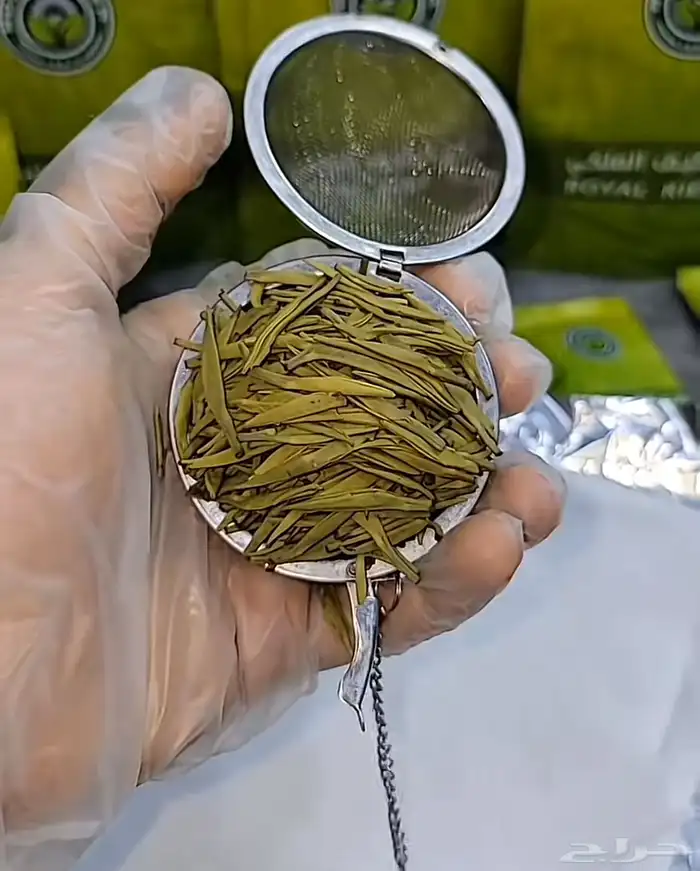 شاهي الكيف الملكي 2