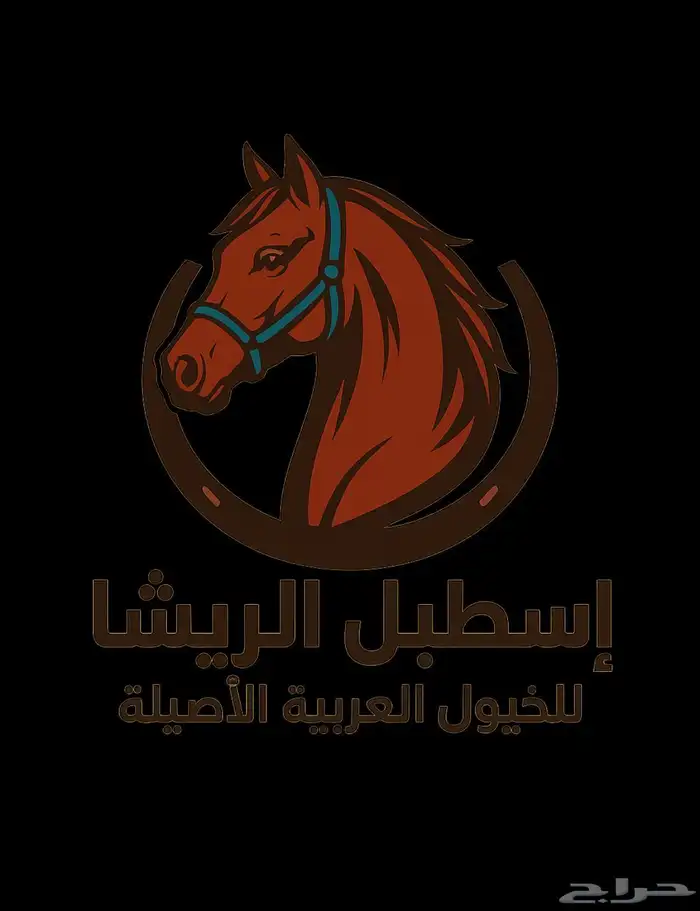 مطلوب سايس خيل 0