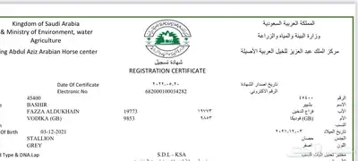 حصان واهو index