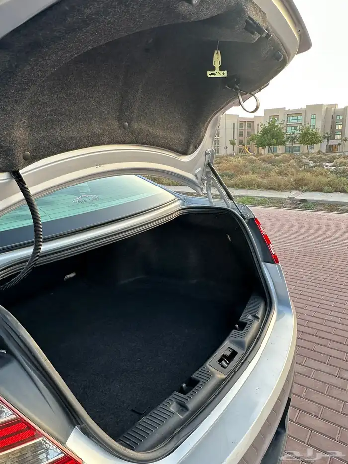 تورس 2019 1