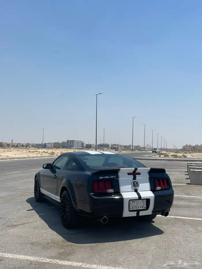 موستنج GT 5