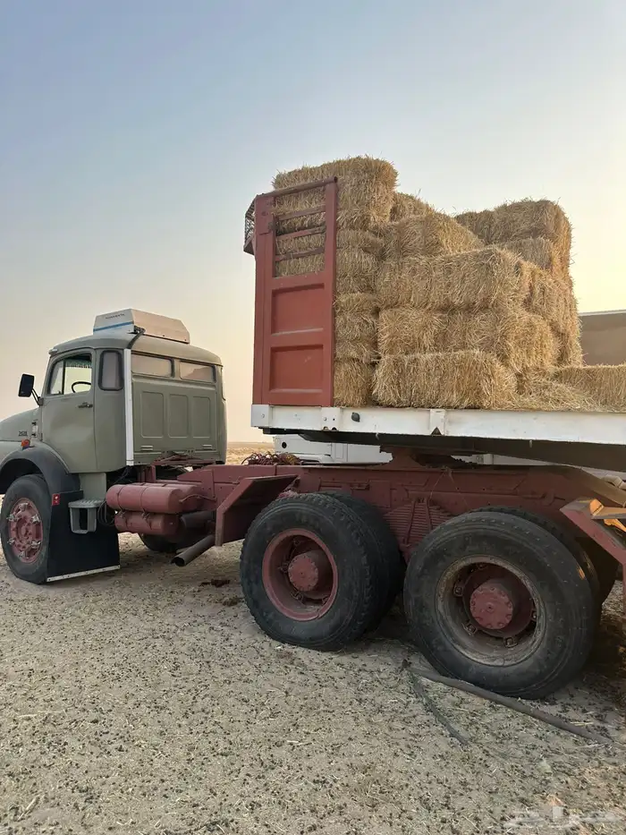سقس بوز سوبر 28 3