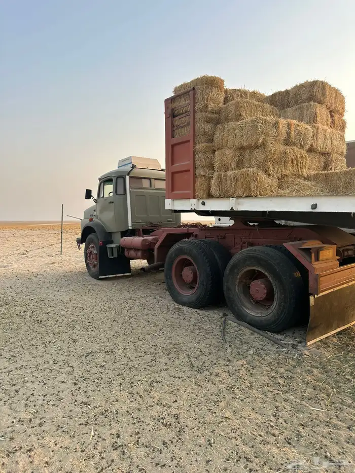 سقس بوز سوبر 28 5