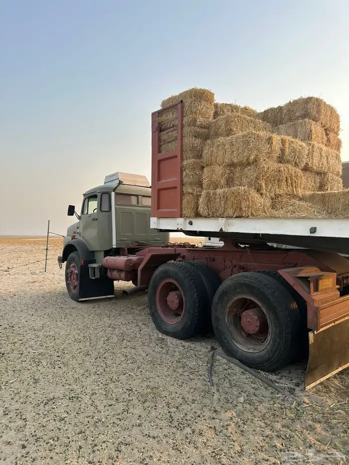 سقس بوز سوبر 28 0