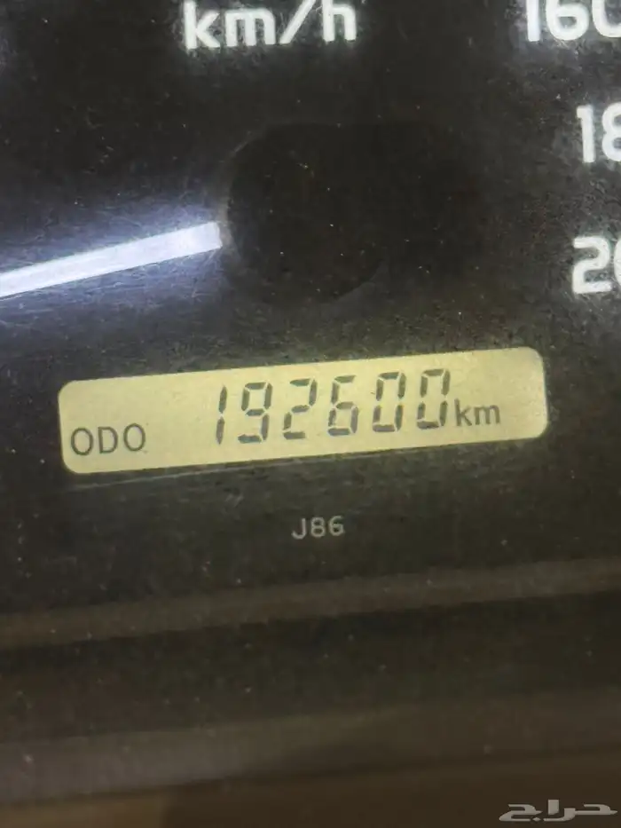 شاص 2022 سلق سعودي دفلك 9
