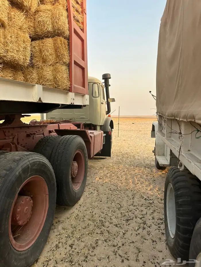 سقس بوز سوبر 28 6